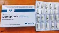Local Molnupiravir manufacturers to be licensed soon