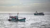 Vietnam ready to cooperate and share experience in combating illegal fishing