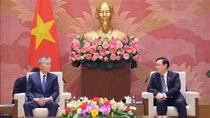 Top legislator welcomes Japanese firm’s interest in clean energy development in Vietnam