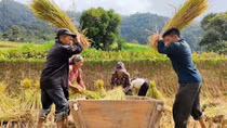 Red Co Lao ethnics preserve traditional values