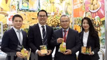 Vietnamese fruits have great opportunities to enter Japan