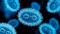 Vietnam early prepares for monkeypox