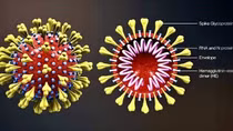COVID-19 to be considered an endemic disease in Vietnam