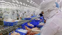 Vietnam-US bilateral trade to surpass US$100 billion