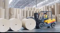 Paper industry expects to maintain high growth momentum