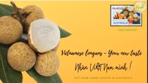 Ten tonnes of high-quality Vietnamese longans hit Australian supermarkets