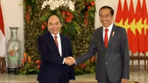 Vietnam, Indonesia set sights on bilateral trade target of US$15 billion
