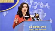 MoFA: Vietnam always protects fundamental rights of citizens