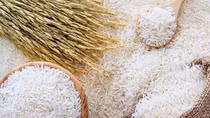 Chance for local rice to penetrate Nordic region