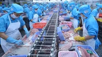 Tra fish exports to ASEAN growing strongly