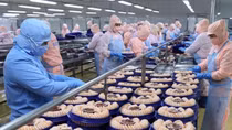 Vietnam enjoys 2.53 billion USD of trade surplus in 2022's four months