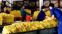 10 biggest rubber import markets increase purchase of Vietnamese rubber
