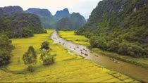 Ninh Binh protects biodiversity for sustainable future