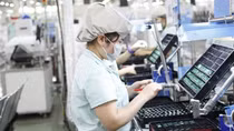 WTO names Vietnam among 30 largest commodity import-export economies