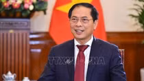 Vietnam-China relations to get new push to grow further: Foreign Minister