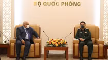 Vietnam, Cuba maintain effective implementation of defence cooperation activities