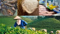 Vietnam enjoys two-fold growth in agricultural trade surplus