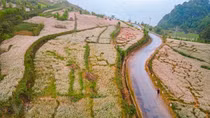 Buckwheat flower season in Ha Giang