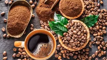 Positive outlook ahead for Vietnamese coffee exports to Greece