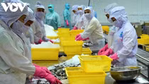 Online trade exchange to boost aquatic exports to EU market