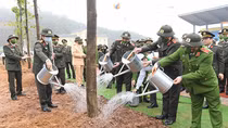Minister To Lam chairs tree-planting event