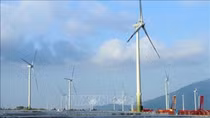 Vietnam considers setting up renewable energy centre