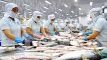 More pangasius processors of Vietnam eligible to export to US