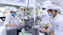 Important step forward for Vietnamese, EU firms in socio-economic recovery