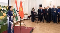 Foreign diplomats congratulate Vietnam on National Day