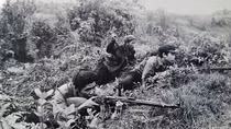 People in Cao Bang recall their border war against Chinese military