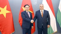 Vietnam, Hungary prioritise future cooperation areas