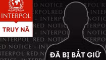 UK thanks Vietnamese police for assistance in arresting British criminal