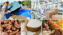 Boosting agricultural exports to US based on standardised production
