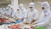 Tuna exports to US soar by 210%