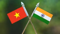 SMEs of Vietnam and India to maximize potential and strength of each side