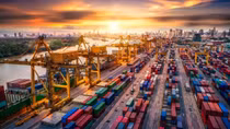 Vietnam likely to develop into new Asian tiger