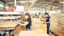 Vietnam export revenue of goods set new record despite COVID-19