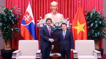 Minister Luong Tam Quang hosts Deputy Prime Minister, Minister of Defence of Slovakia