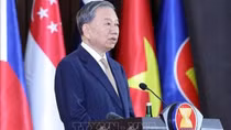 Party chief attends ceremony marking Vietnam’s 30 years of ASEAN membership