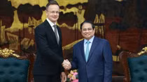 Vietnam treasures comprehensive partnership with Hungary: PM
