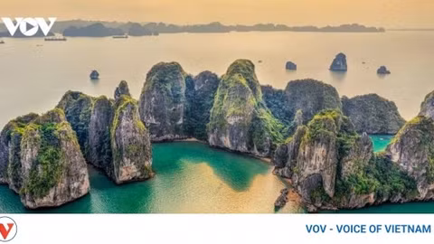 World 7 Wonders Day to take place on grand scale in Ha Long Bay