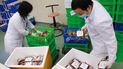 2,000 units of blood delivered to Ho Chi Minh City