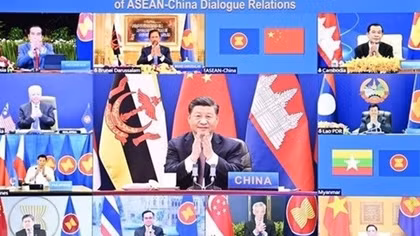 Vietnam contributes to success of ASEAN - China special summit: official