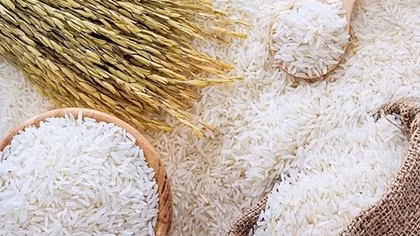 Enterprises urged to strictly follow standards of imported markets: SPS Vietnam