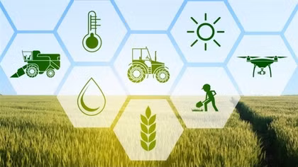 Vietnam towards suitable digital transformation in agriculture