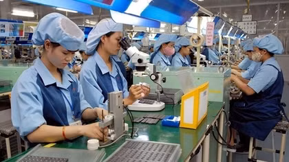 Firms given recommendations to develop sustainably, realise dual goals
