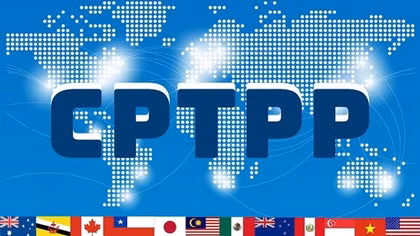 Vietnam willing to share information with China in joining CPTPP