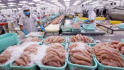 Vietnam determined to remove EC’s yellow card fishing warning by 2022