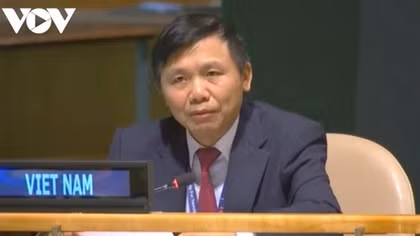 Vietnam welcomes unilateral ceasefire by Central African Republic government