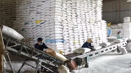Over 130,000 tonnes of rice allocated to 24 pandemic-hit localities